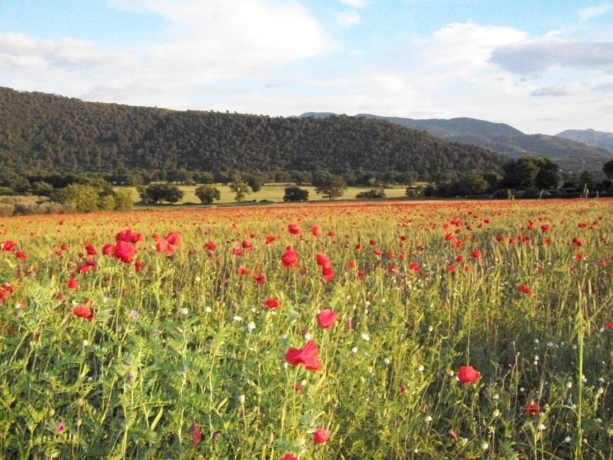 Agriturismo Il Casalino Сполето Екстериор снимка